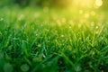 A close up photograph capturing the glistening dew drops on blades of grass, Morning dew over a lush green meadow, AI Generated Royalty Free Stock Photo