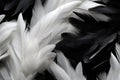 A close-up photograph capturing a stack of black and white feathers piled up on top of each other, White and black feathers, AI