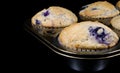 Homemade Blueberry Muffins in an Old Pan Royalty Free Stock Photo