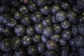 A close up photograph of fresh organic blueberries background