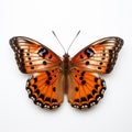 Close-up Photograph Of Male Orange Spotted Butterfly On White Background