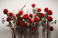close up photograph of red roses