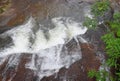 Close up of Running Clear Water in a Stream or a Small Waterfall with surrounding Plants