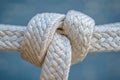 This close-up photograph showcases the intricate details of a tightly tied knot on a rope, Close-up of a karate belt knot, AI Royalty Free Stock Photo