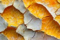 A close-up photograph showcasing a cluster of orange peels, revealing their texture and vibrant orange color, Surface texture of