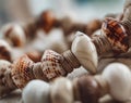 a close-up photograph showcasing the intricate patterns and textures of shell necklaces, with various shells arranged in an Royalty Free Stock Photo