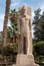 Close up Photograph of a Statue Ramses II Royalty Free Stock Photo