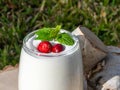 Close-up photograph of a White Dreamy creamy Blended Drink with Cranberries and Mint leaves