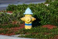 Close up photograph yellow painted fire hydrant in an overgrown grassy area for a new undeveloped subdivisi