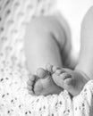 Close up photography of baby toes and feet. Knitted white blanket as background.