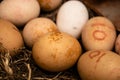 Close up photography of collection of eggs