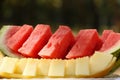 Close up photography of the divided into slices watermelon and melon.Outdoor picnic.Summertime concept