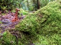 Close-up photography of a handcrafted wooden animal figurine behind some moss