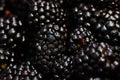 Close up photography of wet blackberries.Macro shot.Abstract background,copy space