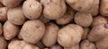 close up photography of white potatoes, at a market stand Royalty Free Stock Photo