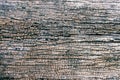 Old wood texture details background Royalty Free Stock Photo