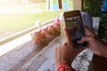 Close-up photos of women holding a smartphone, taking a photo of a coffee mug in a coffee shop, relaxing mood