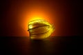 Luminous physalis Royalty Free Stock Photo
