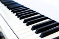 Close up of piano key Royalty Free Stock Photo