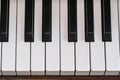 Close-up of piano keys. close frontal view. Royalty Free Stock Photo