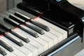 Close-up of piano keys. close frontal view. Royalty Free Stock Photo