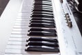 Close-up of piano keys. close frontal view Royalty Free Stock Photo