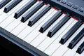 Close-up of piano keys. close frontal view Royalty Free Stock Photo