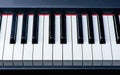 Close-up of piano keys. close frontal view Royalty Free Stock Photo