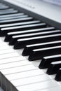 Close-up of piano keys. close frontal view Royalty Free Stock Photo