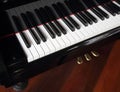 Close-up of piano keys. close frontal view. Royalty Free Stock Photo