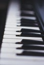 Close up of Piano Keys. white and black keys. Playing electronic Piano