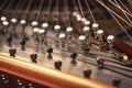 close-up of piano strings and tuning pegs
