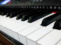 Close up of piano tuts key Royalty Free Stock Photo