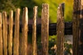 Close up of picket in an aged wooden fence with green background. Royalty Free Stock Photo