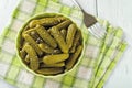 Close-up of pickled cornichons in a ceramic bowl on a green checkered napkin over table. Whole gherkins marinated with dill and Royalty Free Stock Photo