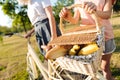 Close up of a picnic basket in hands of a young girl Royalty Free Stock Photo