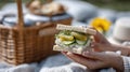 Close-up of picnic sandwich with pickles and cucumber in wicker basket setting Royalty Free Stock Photo