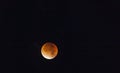 Close up picture of the blood moon during lunar eclipse Royalty Free Stock Photo