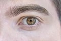 Close up picture of brown eyes from a young man Royalty Free Stock Photo