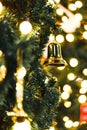 Close up picture of Christmas trees Royalty Free Stock Photo