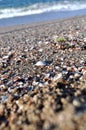 Coarse sand of crushed mussels and pebbles, a white mussel shell and sea waves. Royalty Free Stock Photo