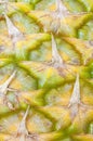 Close up picture of a fresh pineapple skin Royalty Free Stock Photo