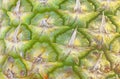 Close up picture of a fresh pineapple skin Royalty Free Stock Photo