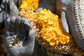 Close up picture of a Ganesha statue`s hand