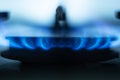 Close up picture of gas hob burning, bright blue flames situated around metallic special round in gas cooker, having light blue