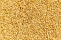 Close up picture of golden flaxseeds, selective focus