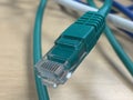 Close up picture of a green Network cable