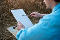 Close-up picture of hands of male artist, holding empty white canvas on wheat field in summer. Painting workshop in rural Royalty Free Stock Photo