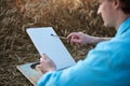 Close-up picture of hands of male artist, holding empty white canvas on wheat field in summer. Painting workshop in rural Royalty Free Stock Photo