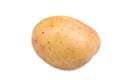 Close-up picture of healthy, ripe and raw young potato, isolated on a white background. Summer harvest of vegetables. Royalty Free Stock Photo